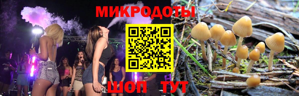 Псилоцибиновые грибы Magic Shrooms  Вход с VPN  Чернушка 