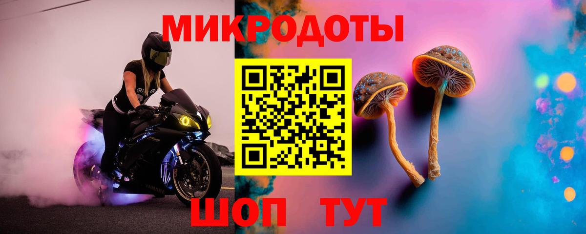 Галлюциногенные грибы прущие грибы Чернушка